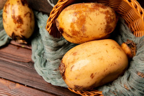 蓮藕 玉藕玲瓏，節(jié)日佳肴與苗木之美