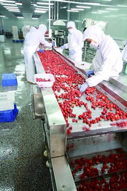 山東北大荒果蔬產(chǎn)品暢銷(xiāo)美歐等20多個(gè)國(guó)家和地區(qū)