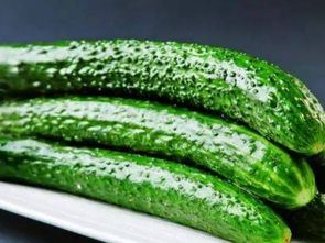 青翠之譜 常見蔬菜與苗木名錄